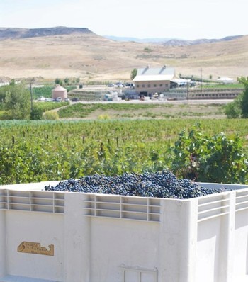 Lunch with the Winemaker 20Nov2025 1