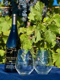 Sip | Reconnect with 3 Horse Ranch Vineyards