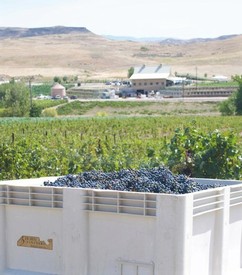 Lunch with the Winemaker 20Nov2025